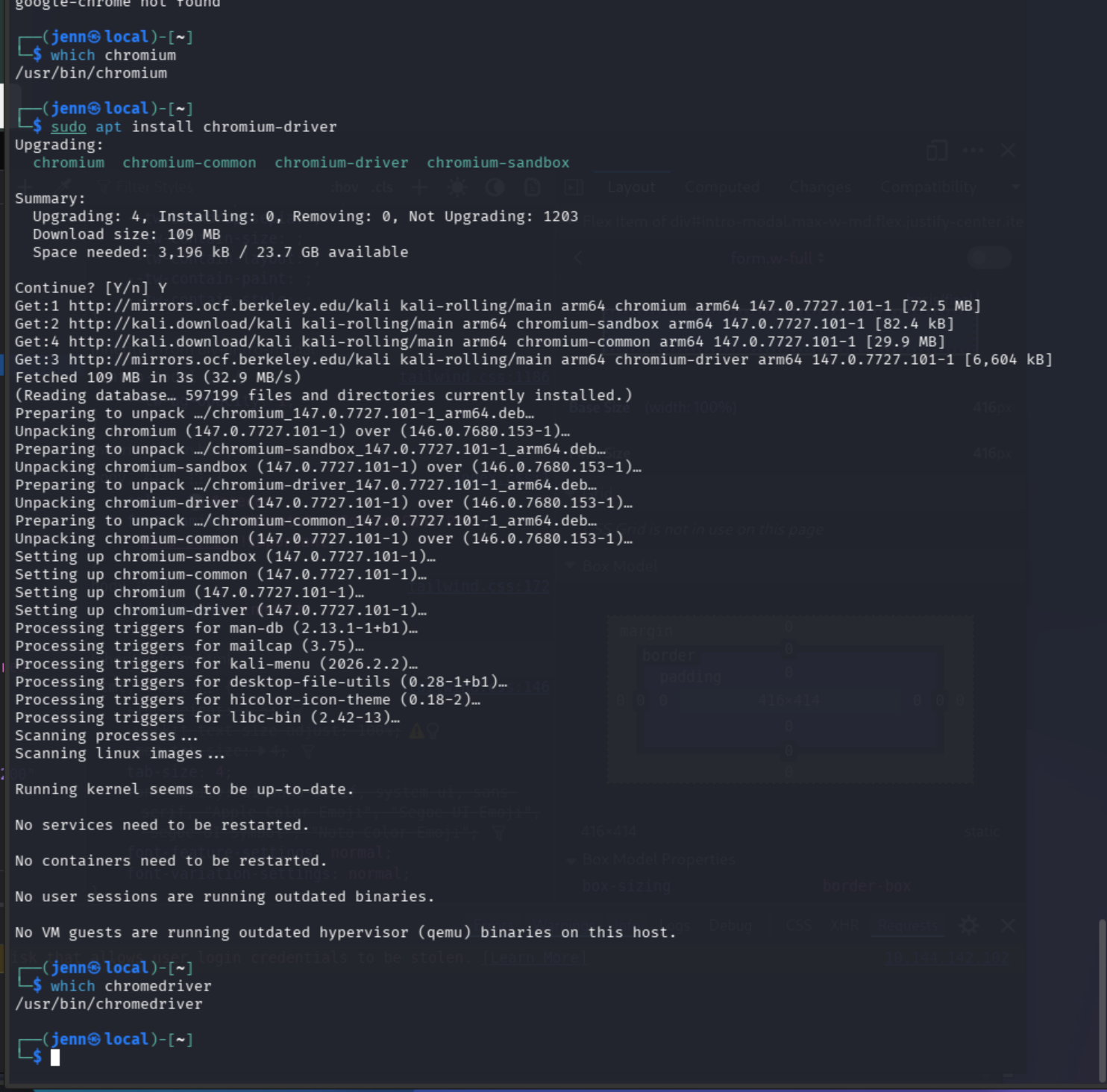 which chromedriver returning /usr/bin/chromedriver